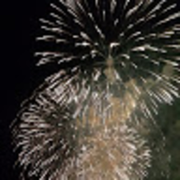 Meet your Posher, Lissia - Picture 1 of 1